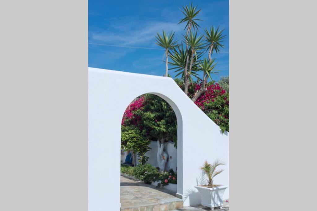 Palmaya Villa, Unique Seafront Experience Vagia  Exteriör bild