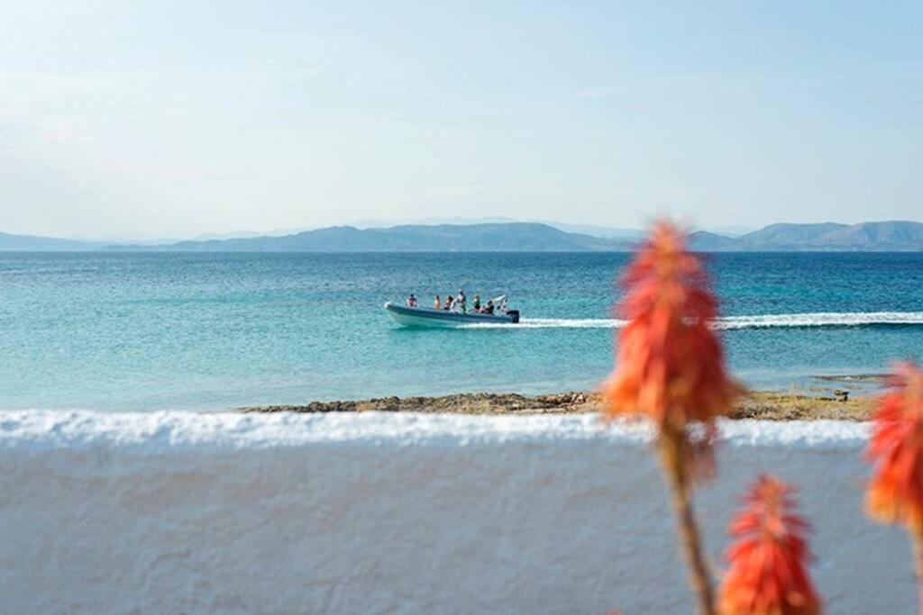 Palmaya Villa, Unique Seafront Experience Vagia  Exteriör bild