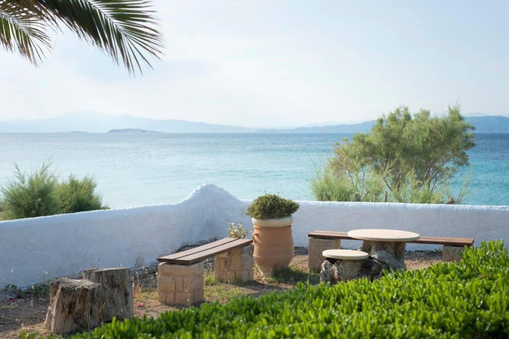 Palmaya Villa, Unique Seafront Experience Vagia  Exteriör bild